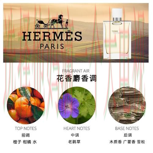 亚盈体育最新网站入口解析