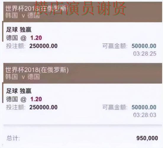 世界杯全球总决赛期间热门世界杯投注网站大全精选与平台排行分析 世界杯全球总决赛期间热门世界杯投注网站大全精选与平台排行分析